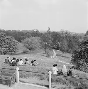 Whitestone: Hampstead Heath, London