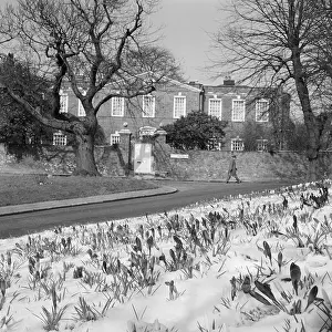 Poking: Hampstead, London