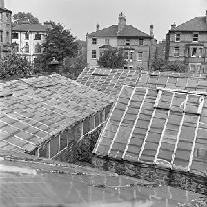 Glasshouse: Hampstead Village Nurseries