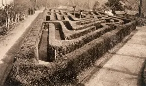 Maze: HAMPTON COURT / MAZE