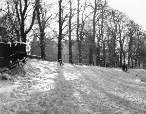 Hamstead: HAMSTEAD HEATH SNOW