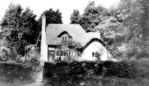 Hanbury: Hanbury, Thatched Cottage c1965