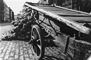 Turnips: Hand cart with pile of vegetables behind it