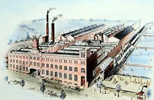 Crumpsall: Hand coloured illustration of CWS Crumpsall Biscuit