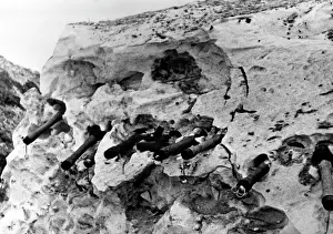Grenades: Hand grenades in a German position - Eastern Front