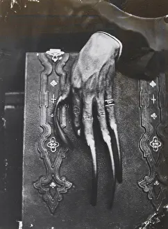 Annam: The hand of a rich Annam citzien