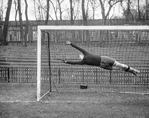 Handball: Handball goalkeeper Schnabl in action