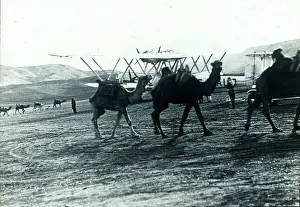 Hanno: Handley Page HP42E Hanno, G-AAUD