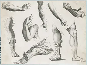 Pres: HANDS & FEET/ALBION PRES