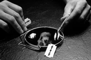 Narcotics: Hands holding a razor blade and rolled up $20.00