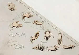 HANDS/VARIOUS/ANON