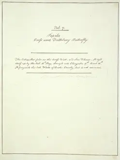 Chrysalis: Handwritten notes by John Abbot