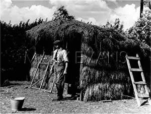 Handyman: HANDYMAN'S STRAW HUT