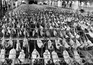 Bedfordshire: Hangar deck of HMS Illustrious