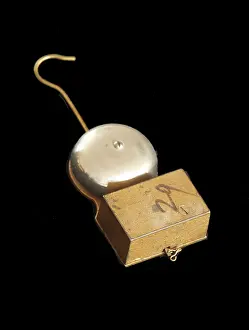 Wall Mounted: Hanging burglar alarm