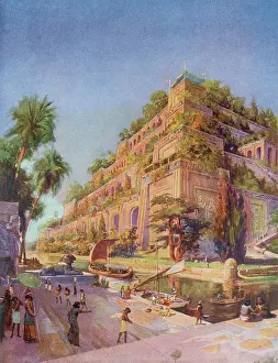 Euphrates: The Hanging Gardens of Babylon - Wonder of the World