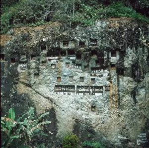 Hollowed: HANGING GRAVES/CELEBES