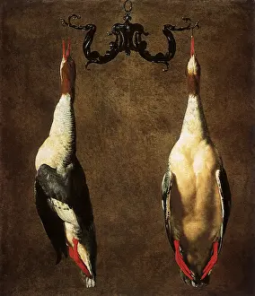Cesare: Two Hanging Mallards