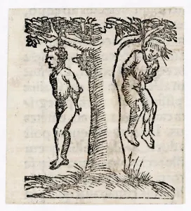 C16th: HANGING/TREE/C16TH