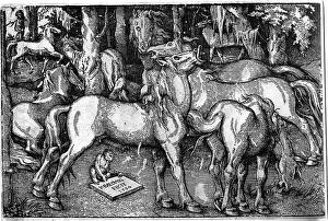 Grien: Hans Baldung-Grien