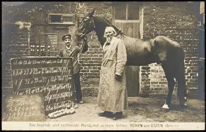 Hans the Clever Horse