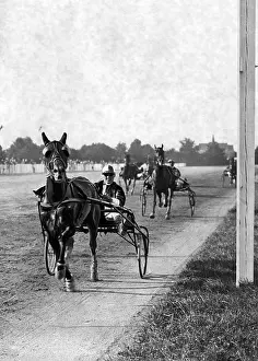 Trotter: Hans Froemming