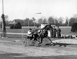 Trotter: Hans Froemming