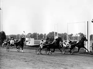 Trotter: Hans Froemming