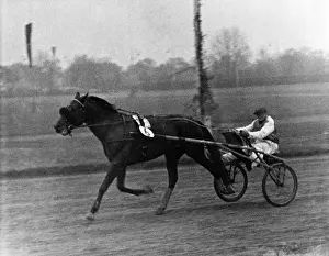 Trotter: Hans Froemming
