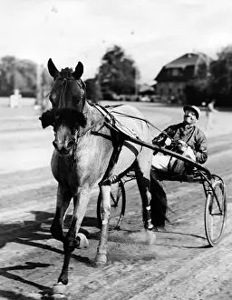 Trotter: Hans Froemming