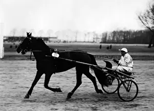 Trotter: Hans Froemming