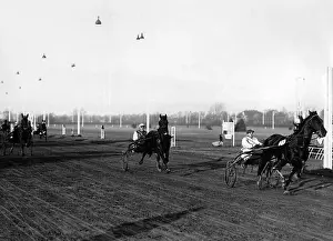 Trotter: Hans Froemming