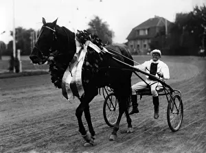 Trotter: Hans Froemming