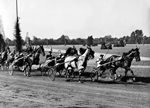 Trotter: Hans Froemming