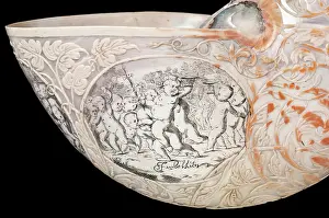 Nautilus: Hans Sloane's nautilus shell