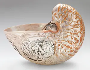 Nautilus: Hans Sloane's nautilus shell
