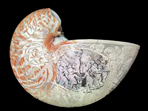 Nautilus: Hans Sloane's nautilus shell