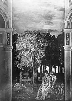 Marees: Hans V Marees