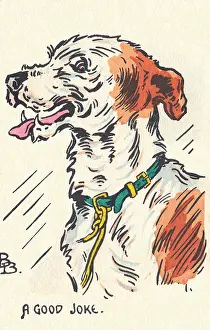 Briggs: A Happy Dog