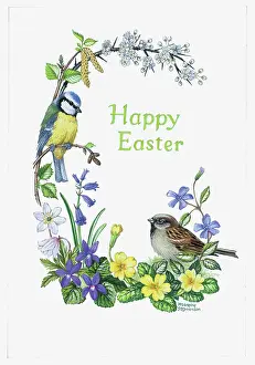 Bluebell: Happy Easter ? blue tit, sparrow, violets etc