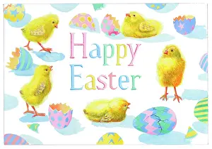 Mckeown: Happy Easter Chicks and Eggs