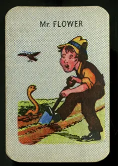Gardener: Happy Families - Mr Flower