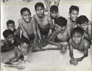 Origins: Happy group of wolf cubs, Mauritius