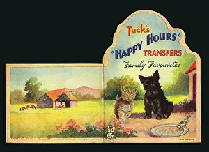 Albums: Happy Hours Transfers. No 7