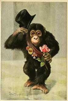Monkeys: Happy New Year - Chimpanzee with top hat and rose