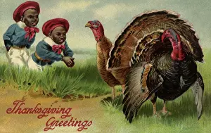 Turkeys: Happy Thanksgiving