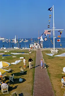 Frissell: harbor - boats - Nantucket - summer
