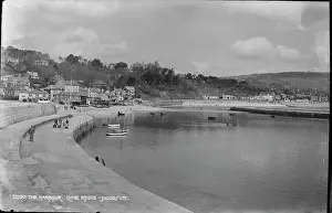Lyme: The Harbour, Lyme Regis
