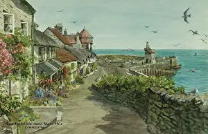 Harbour from Mars Hill, Lynmouth, Devon