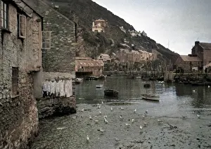 Gulls: Harbour scene with seagulls and washing line